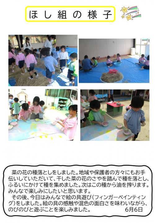 ほし組の様子