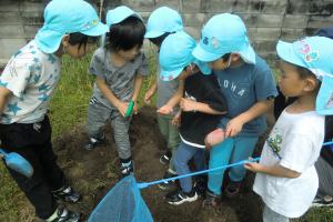 園庭で何かを見つけた子ども達
