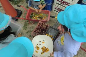 料理をする子ども達