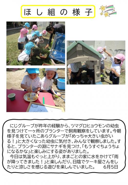ほし組の様子