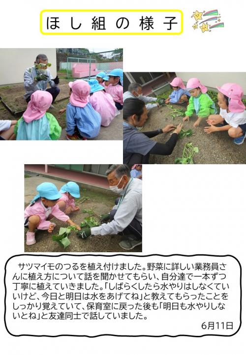 ほし組の様子