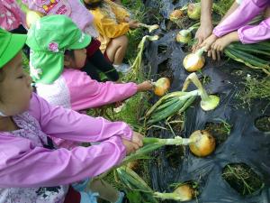 4歳児一生懸命ひいています