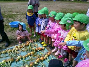 4歳児数を数えています