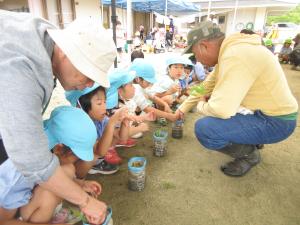 田んぼに稲を植えてみよう