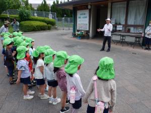 サツマイモ
