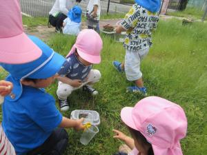 幼虫さがしてる