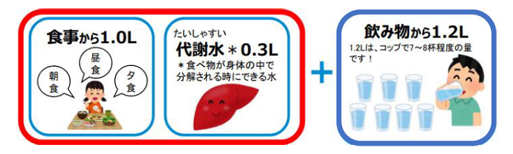 脱水を防ぐ為の対策イメージ イラスト画像