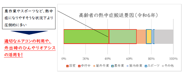 高齢者の熱中症搬送要因(令和6年)