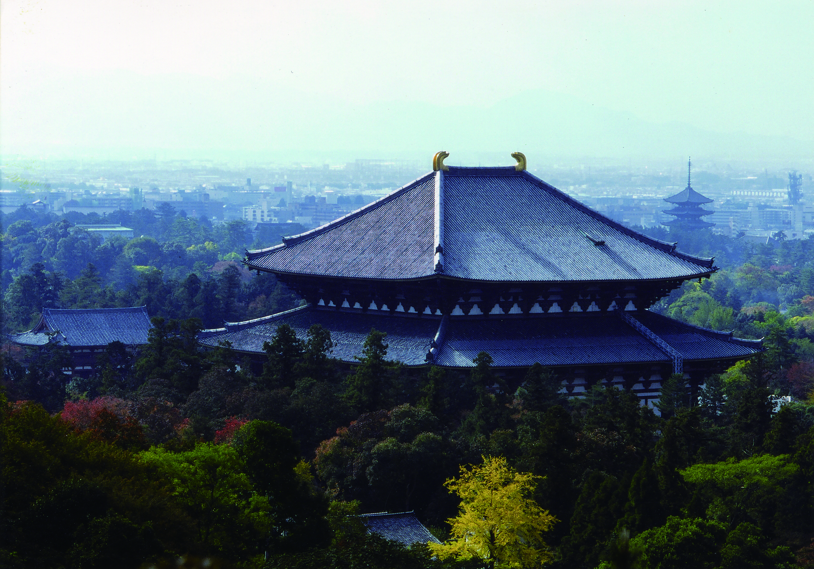 東大寺でつくるの画像