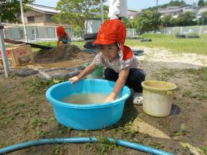 泥水で遊んでいます