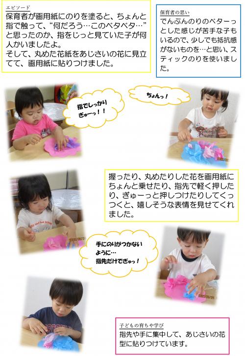 あじさい２
