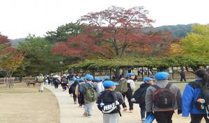 奈良公園オリエンテーリングの様子