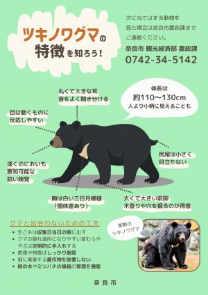 ツキノワグマの特徴を知ろう！チラシ
