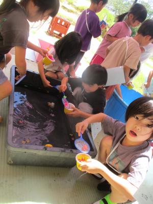 金魚すくいをする子ども
