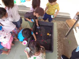 金魚をがんばってすくう子ども