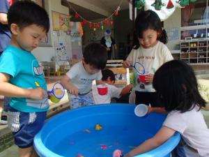 子ども達が金魚をすくいます