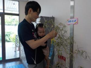 七夕飾り飾り付け