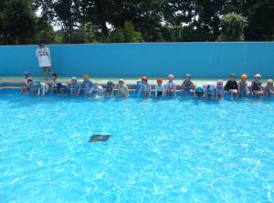 pool3