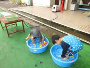 タライに入る