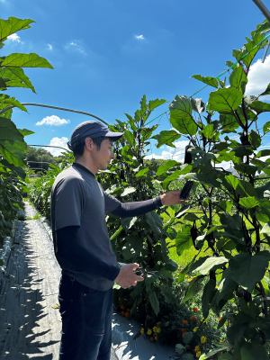 なす農家の岡崎さん