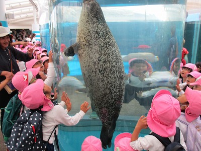 秋の遠足～京都水族館～4歳児の画像2