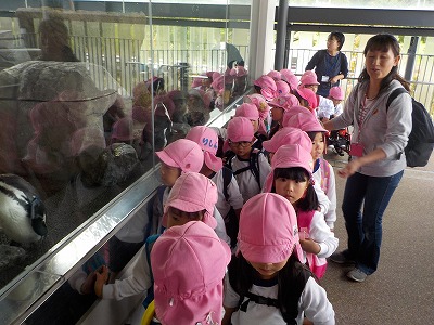 秋の遠足～京都水族館～4歳児の画像3