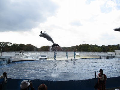 秋の遠足～京都水族館～4歳児の画像5