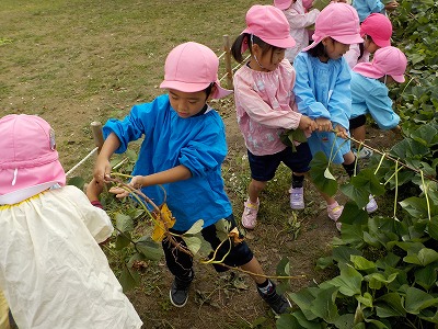 芋ほり（4歳児）の画像2