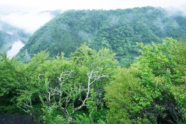 月ヶ瀬の風景