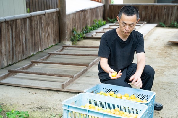 烏梅製造者