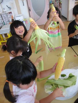 たくさんのとうもろこしに喜ぶ子ども