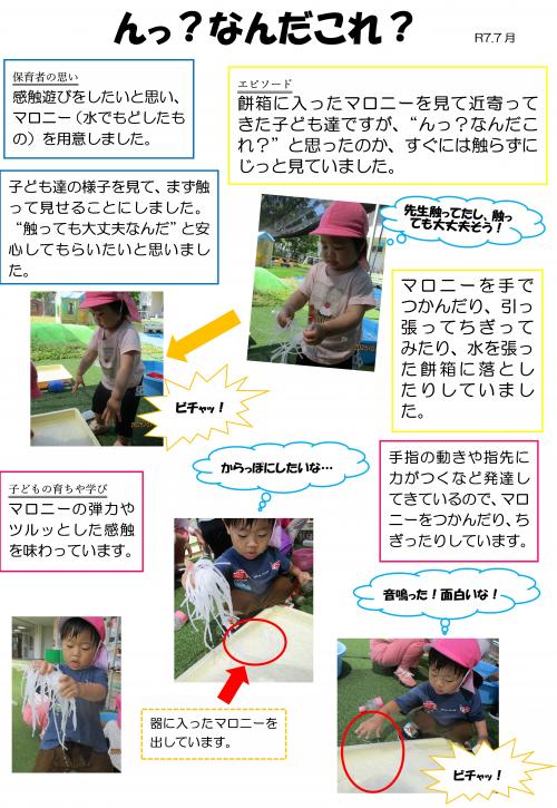 マロニー