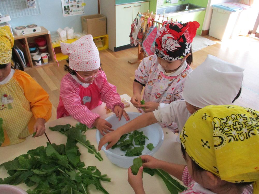 カブがたくさんできました！！＜4歳児＞の画像１１