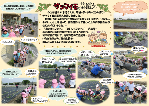 さつまいも