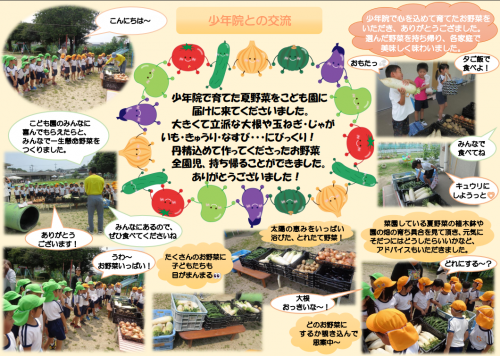 野菜