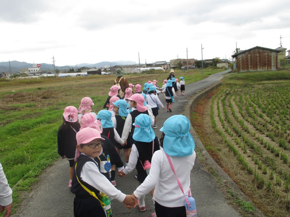 ”秋みつけ”に行ってきました。＜3・4歳児＞の画像1