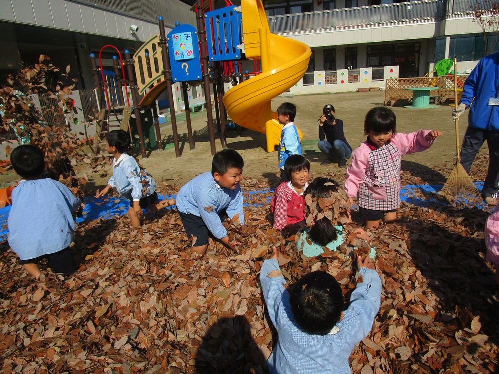 おっち～ば国王様から落ち葉が届いたよ！＜4・5歳児＞の画像7