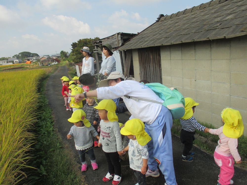 1歳児　こども園の近くの田んぼ道への画像2