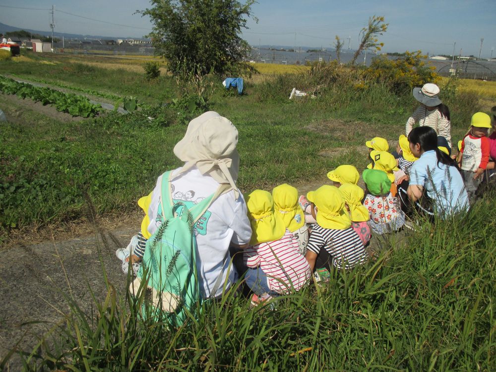1歳児　こども園の近くの田んぼ道への画像3