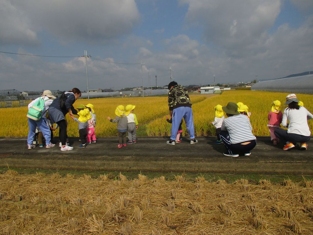 1歳児　こども園の近くの田んぼ道への画像5