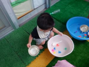 タライの中の金魚で遊んでいます。