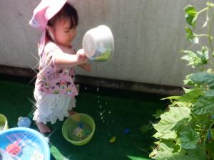 容器の水を掛けています