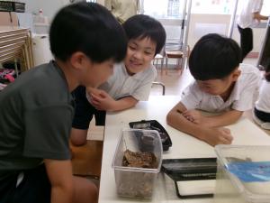 遊び４