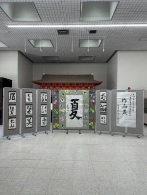 展示