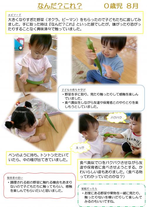 なんだこれ