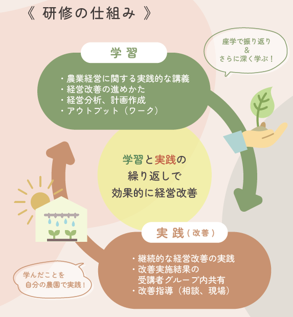 研修の仕組み