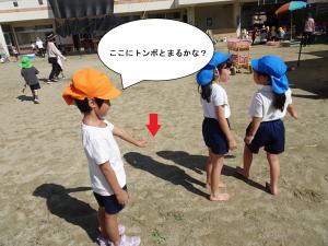 トンボとまるかな