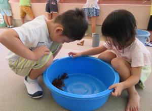 ザリガニの様子を見ているよ