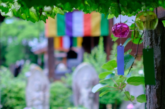 般若寺のアジサイ2 (photo by mitto) 季節