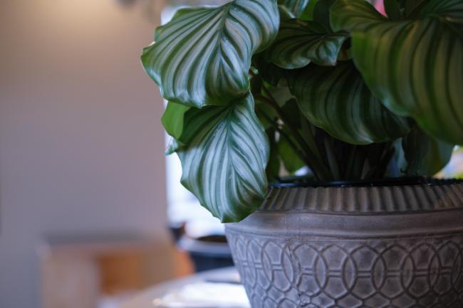 ROKUMEI BAKES 4 (photo by mitto) おいしい